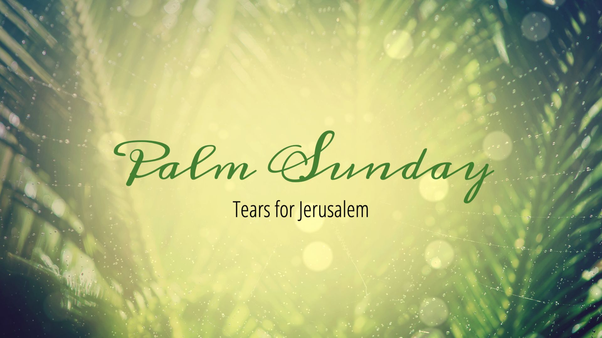 Tears for Jerusalem Image