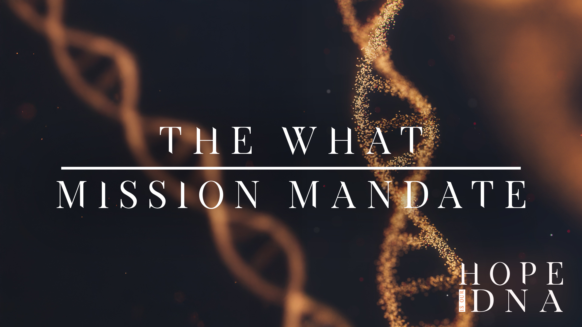 The What: Mission Mandate Image