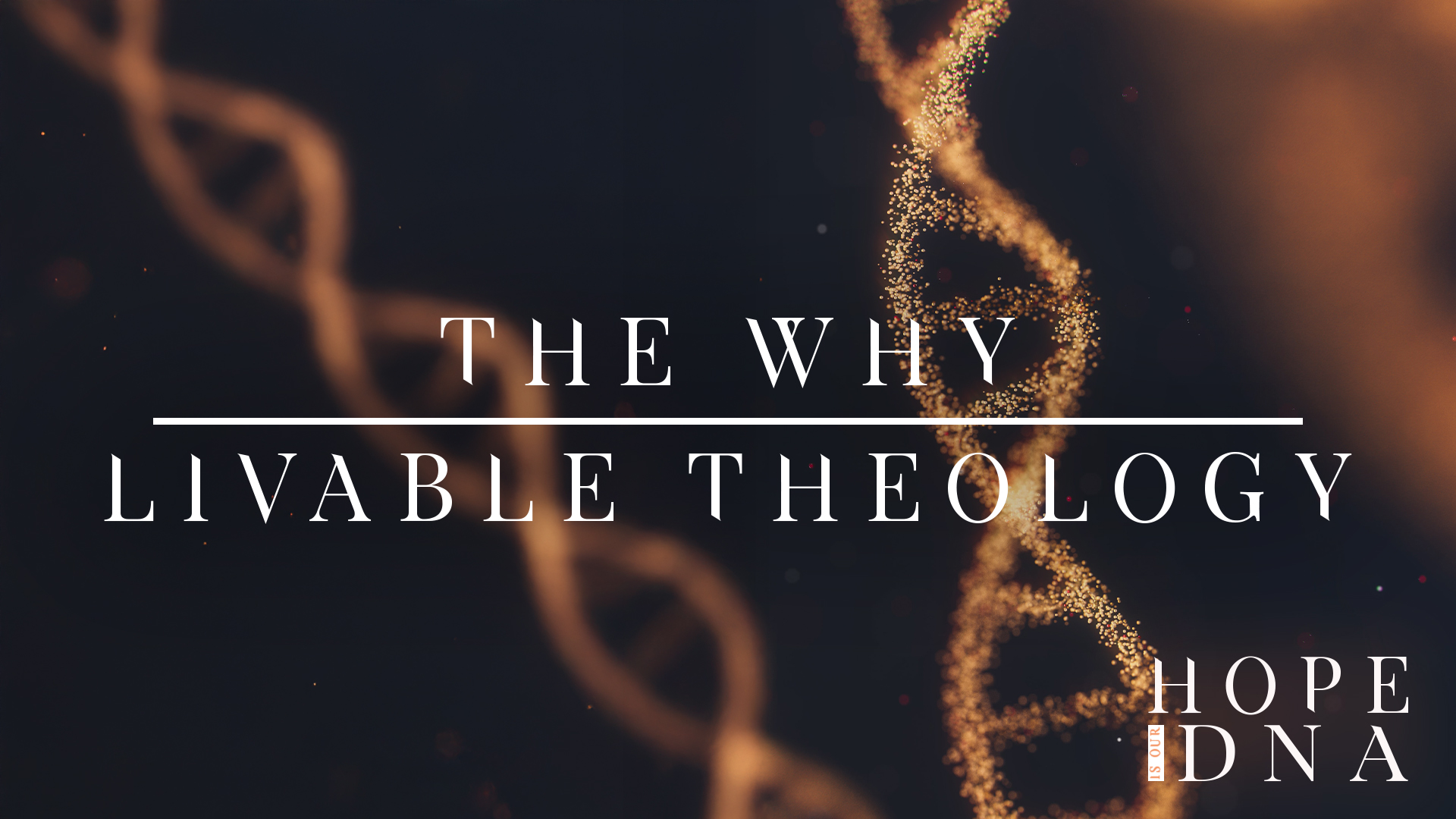 The Why: Livable Theology Image