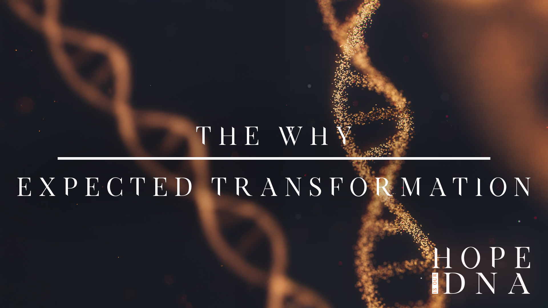 The Why: Expected Transformation Image