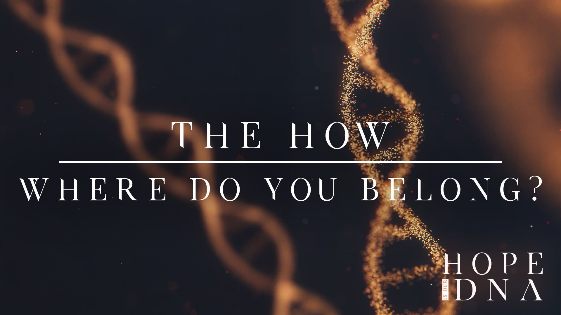 The How: Where Do You Belong? Image
