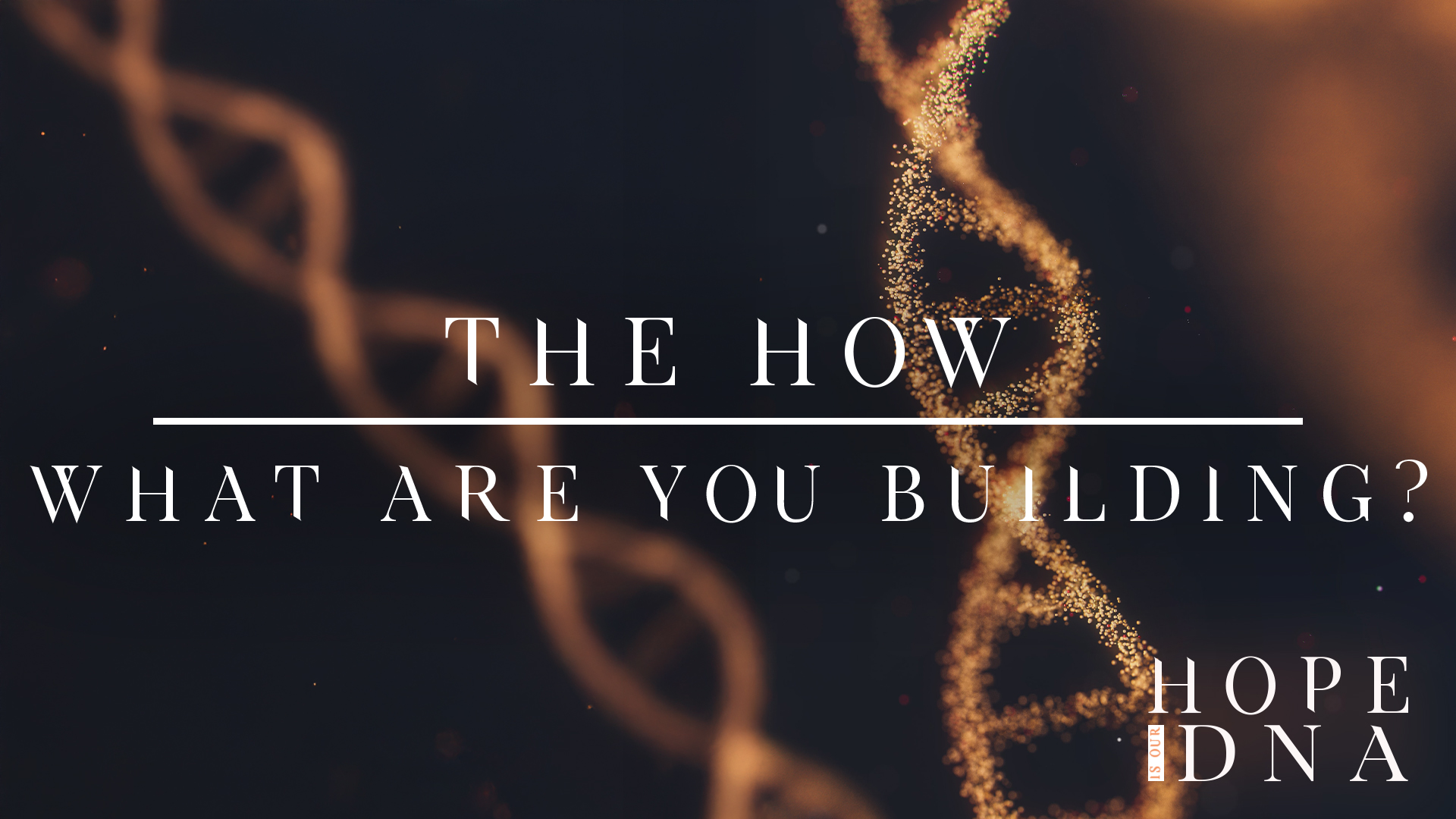 The How: What Are You Building? Image