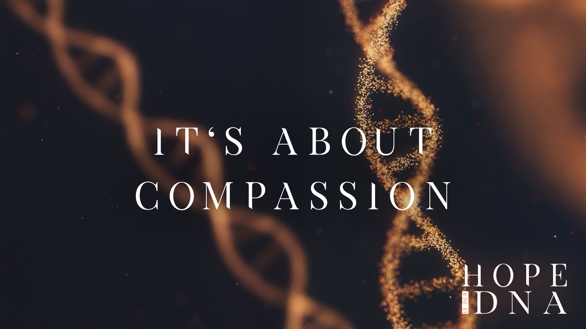 It's About Compassion Image